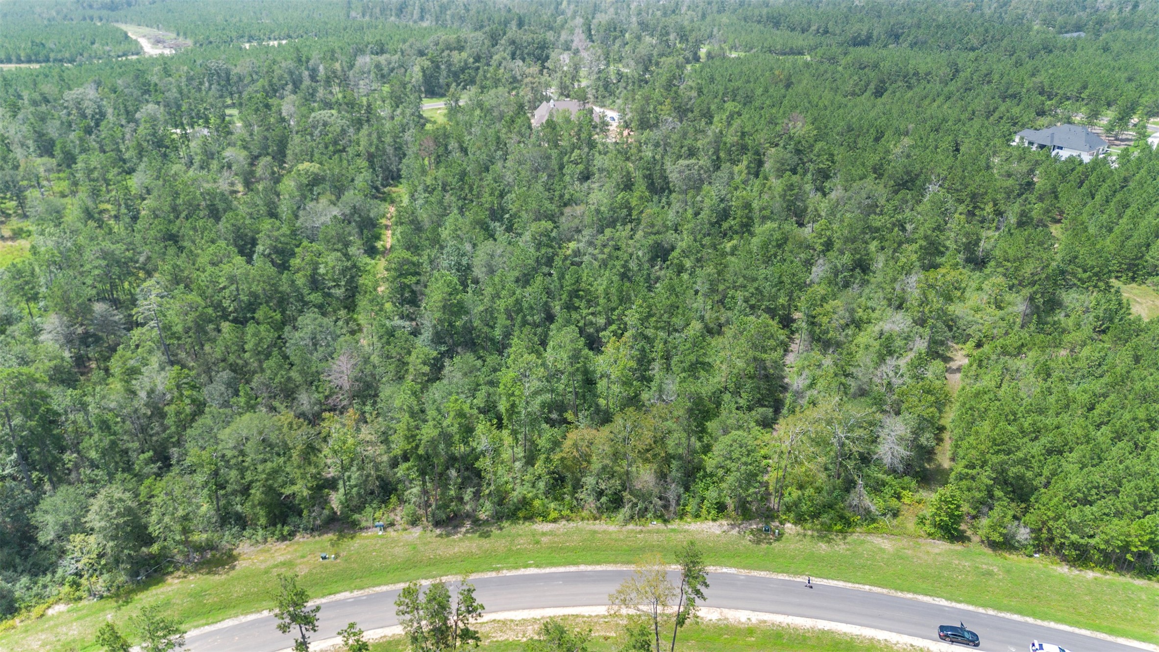 12056 High Br Way Willis, TX 77378 - Photo 9 of 15 a view of a yard with a tree