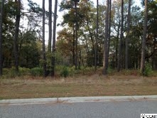 Lot 25 Rivers Edge Drive Conway, SC 29526 - Photo 2 of 8 Gallery Image 2