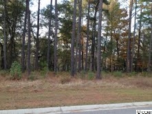 Lot 25 Rivers Edge Drive Conway, SC 29526 - Photo 3 of 8 Gallery Image 3