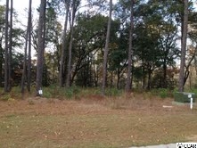 Lot 25 Rivers Edge Drive Conway, SC 29526 - Photo 4 of 8 Gallery Image 4