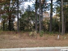 Lot 25 Rivers Edge Drive Conway, SC 29526 - Photo 5 of 8 Gallery Image 5