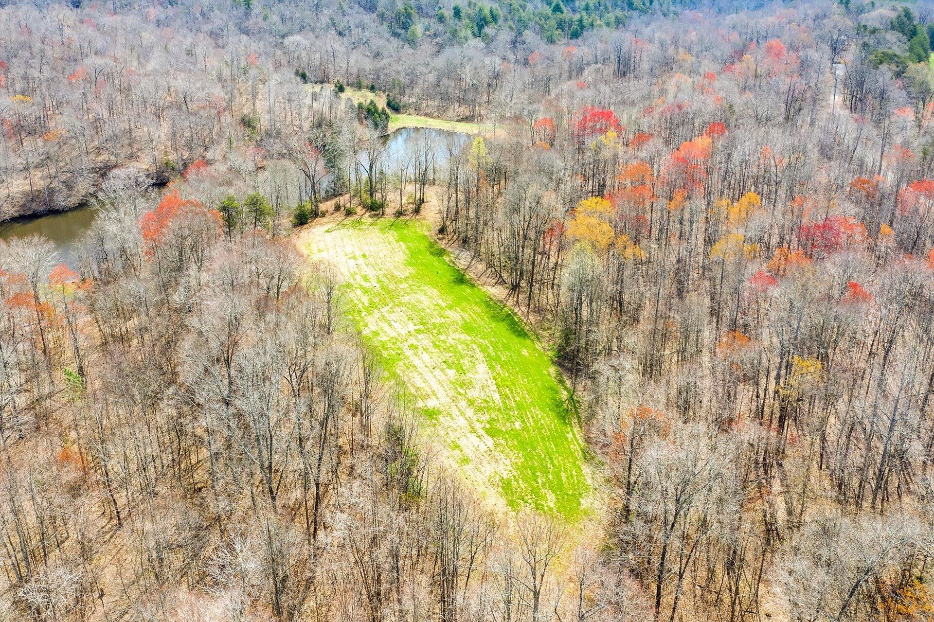 1760 Bar Ridge Road Penhook, VA 24137 - Photo 60 of 79 060-112