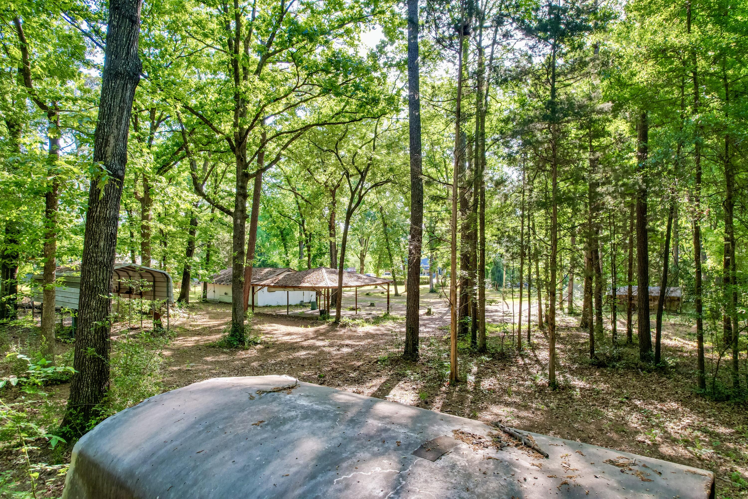 0 Old Whiskey Road South New Ellenton, SC 29809 - Photo 19 of 26