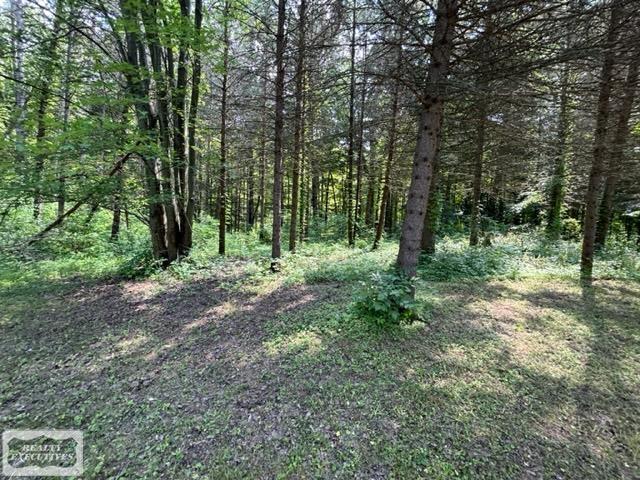 66700 Campground Road Washington, MI 48095 - Photo 46 of 50 50115478-47.JPG