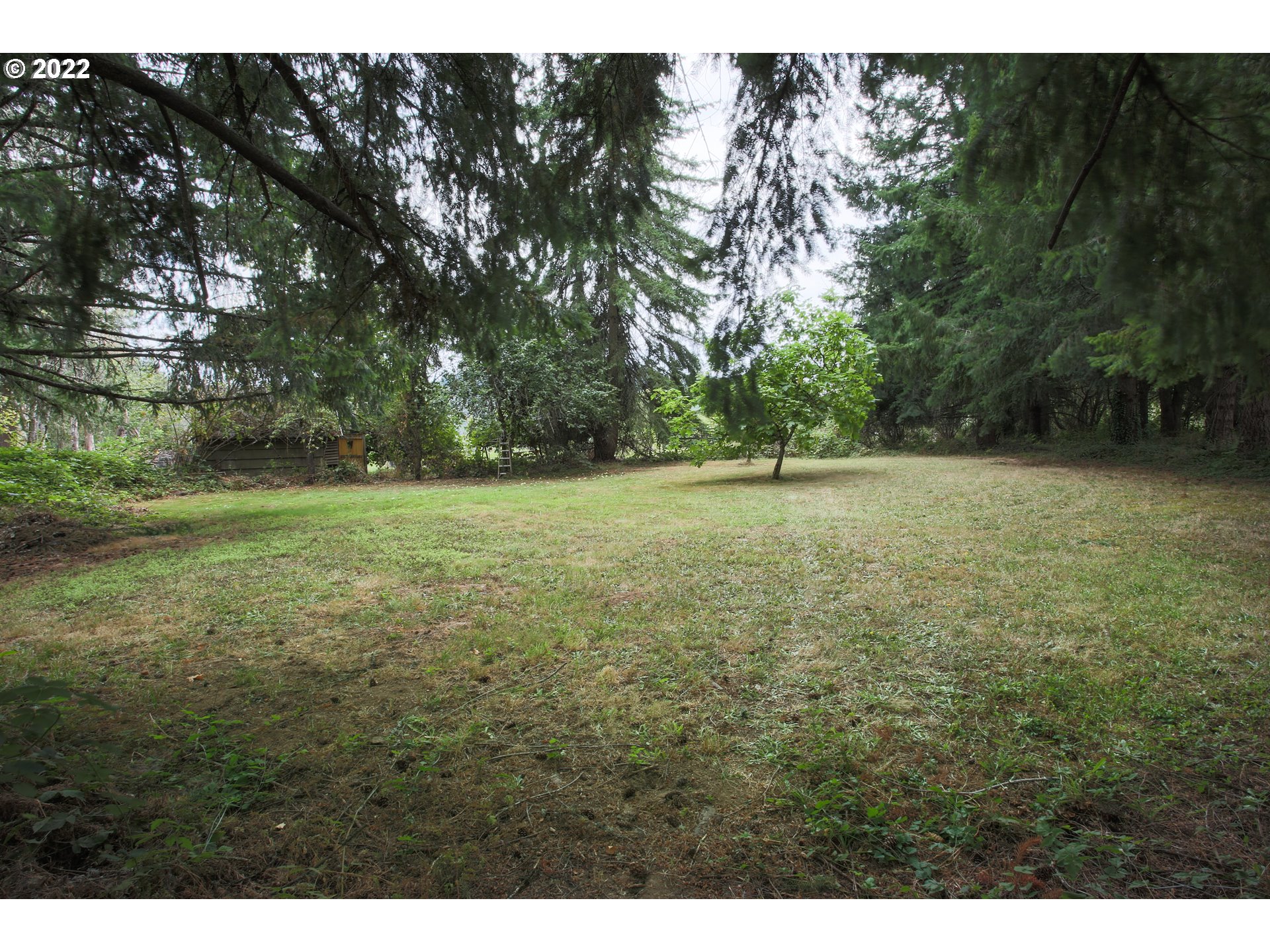 18173 Southeast Richey Road Gresham, OR 97080 - Photo 21 of 23 a view of a field with trees in the background