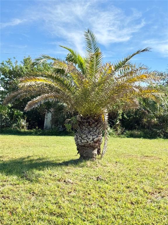 0 Poinciana Road Venice, FL 34293 - Photo 5 of 16 Gallery Image 5