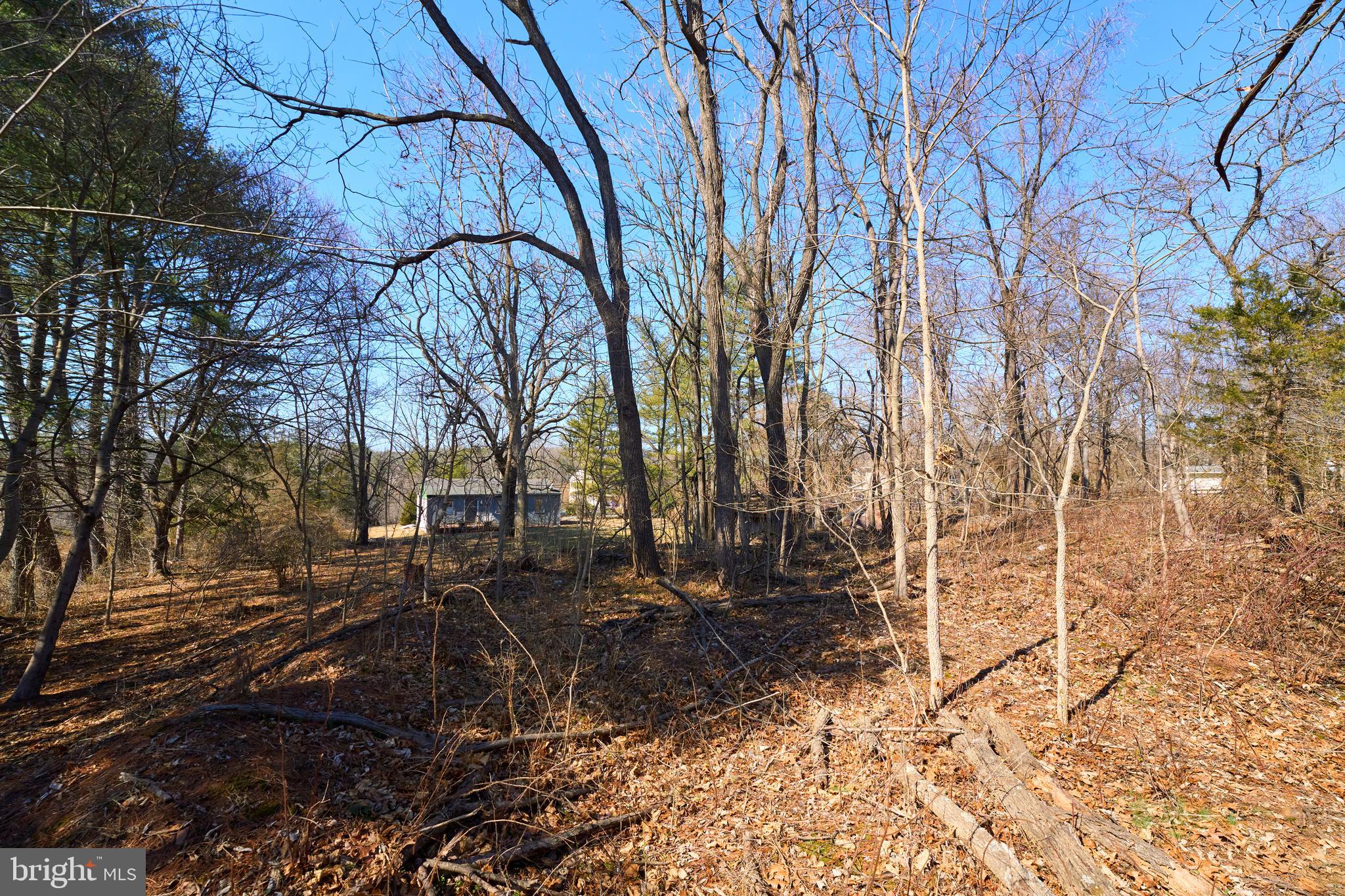 20520 Gleedsville Road Leesburg, VA 20175 - Photo 11 of 11