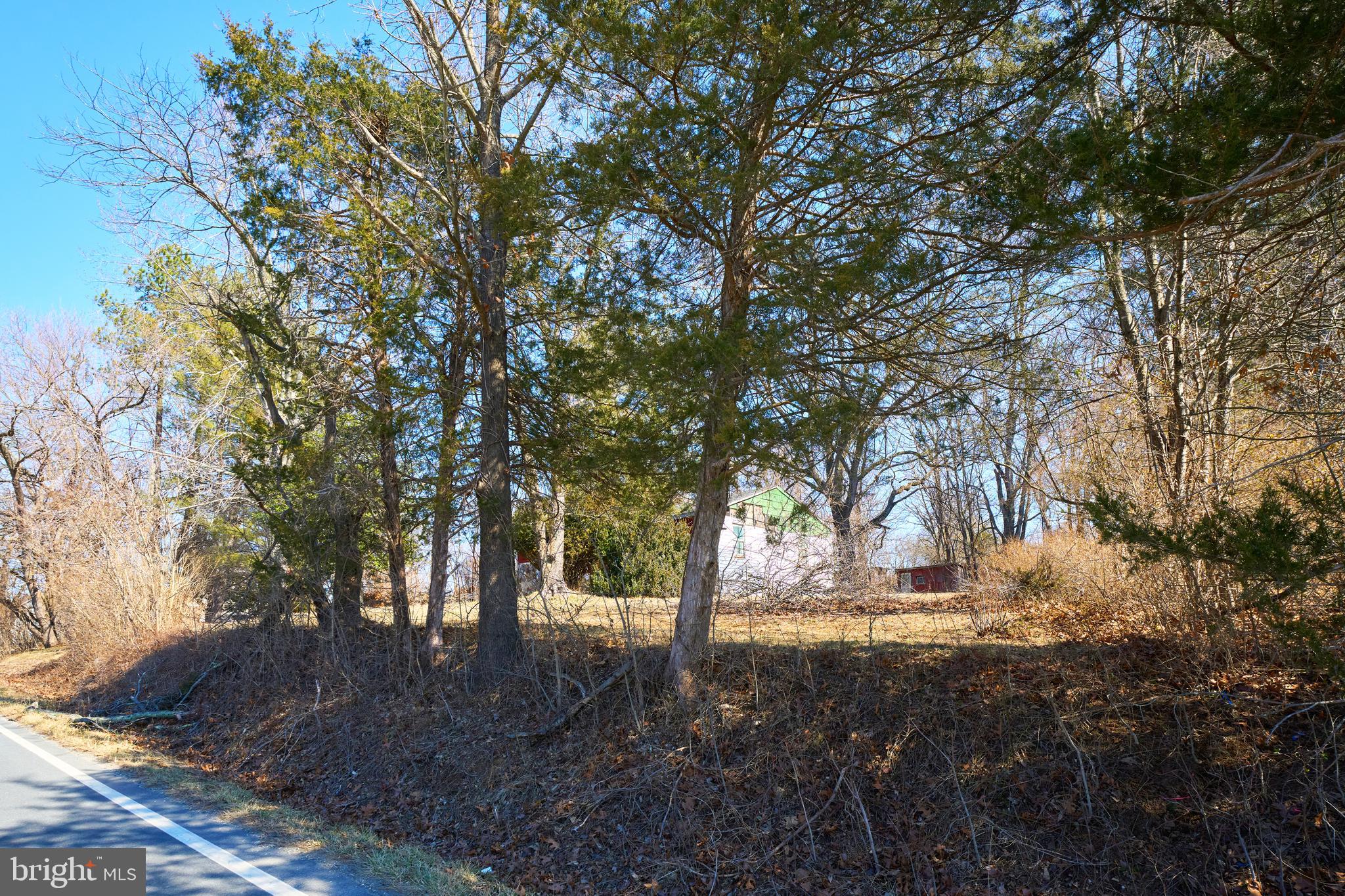 20520 Gleedsville Road Leesburg, VA 20175 - Photo 3 of 11