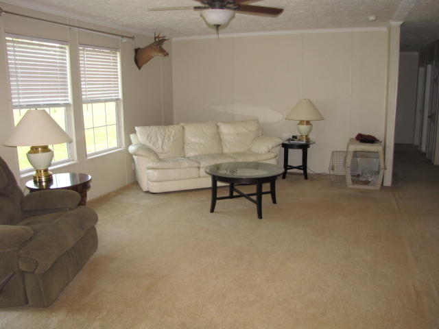 2083 Lipscomb Road Moneta, VA 24121 - Photo 3 of 15 IMG_6693