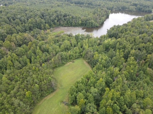 1079 Crymes Orchard Road Keysville, VA 23947 - Photo 17 of 23 Gallery Image 17
