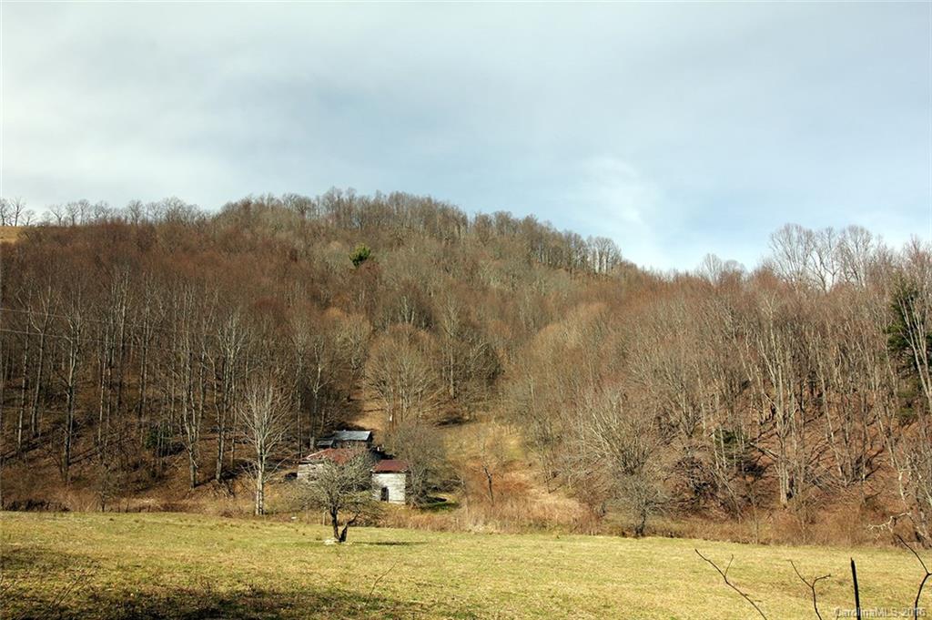 2238 Sugar Camp Road Marshall, NC 28753 - Photo 3 of 24 Gallery Image 3