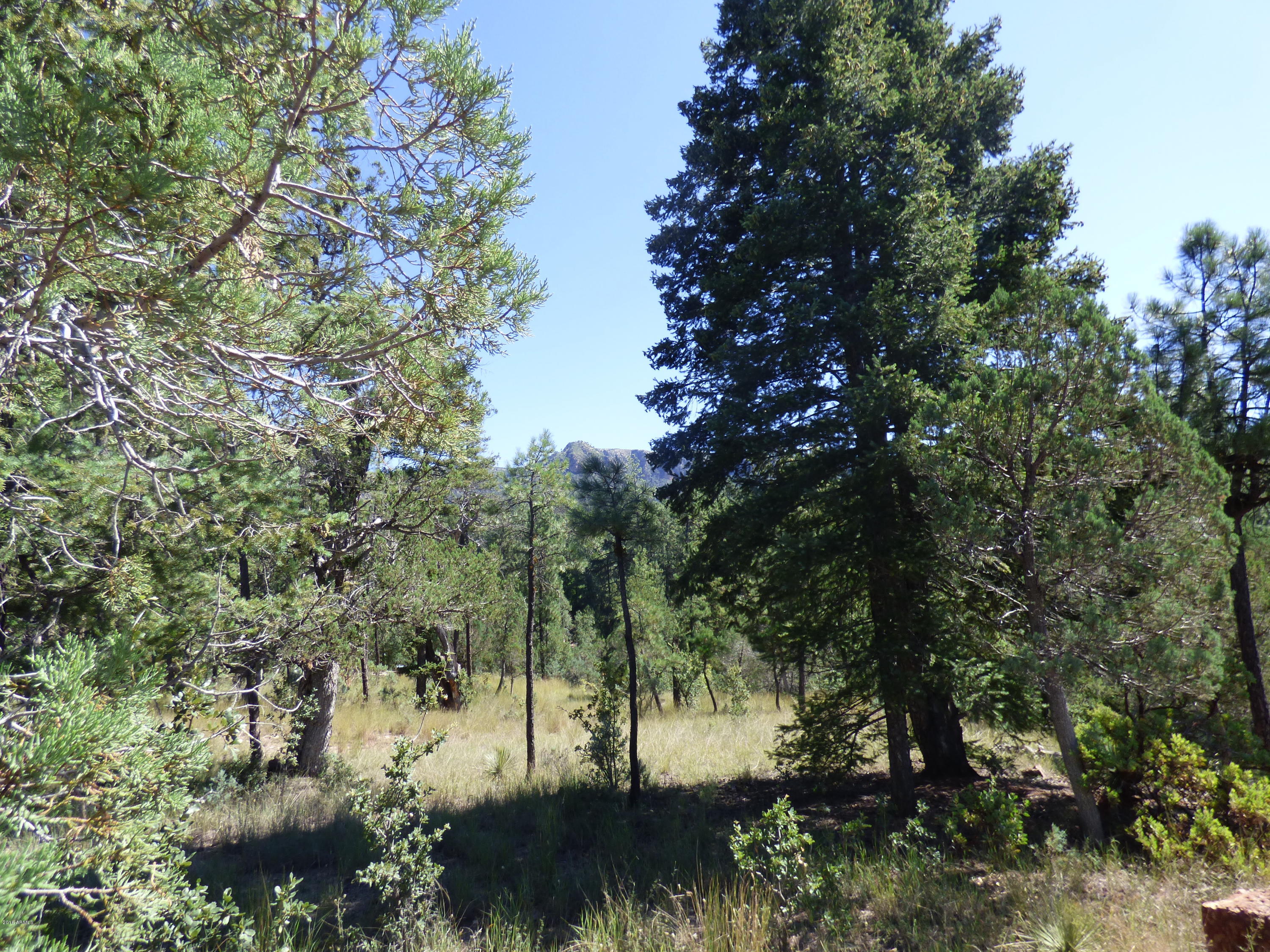 903 South Sutton Road, Unit E Payson, AZ 85541 - Photo 1 of 22 P1000879
