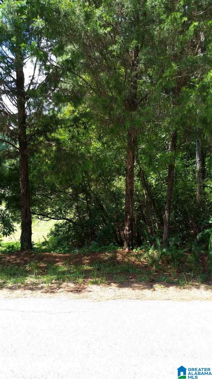Wind Creek, Unit 2 Alexander City, AL 35010 - Photo 5 of 6