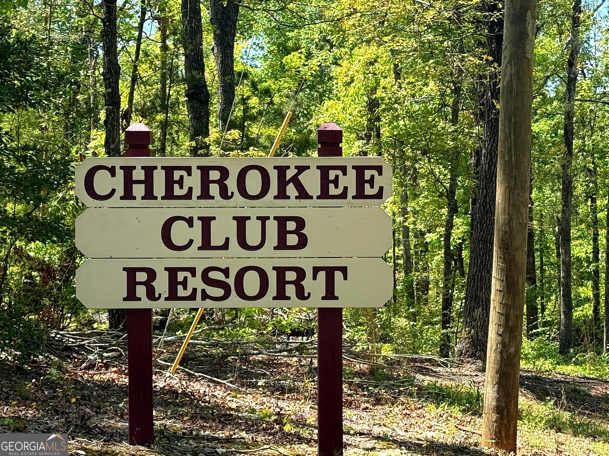 9 Cherokee Resort Road Pine Mountain, GA 31822 - Photo 4 of 28