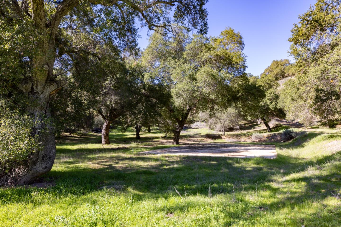 47292 Arroyo Seco Road Greenfield, CA 93927 - Photo 29 of 37 a view of a park with large trees