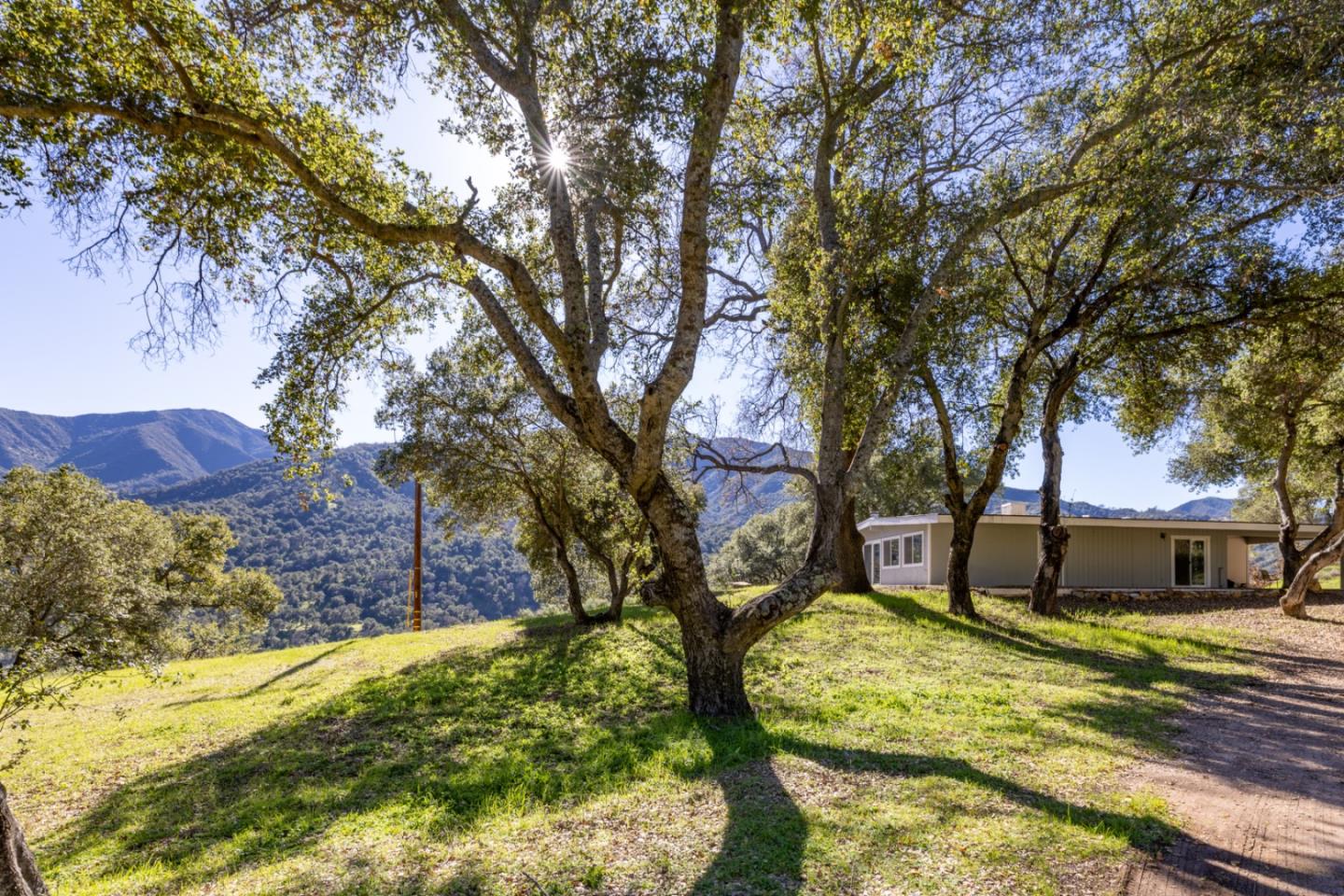 47292 Arroyo Seco Road Greenfield, CA 93927 - Photo 3 of 37 a view of a yard with large tree