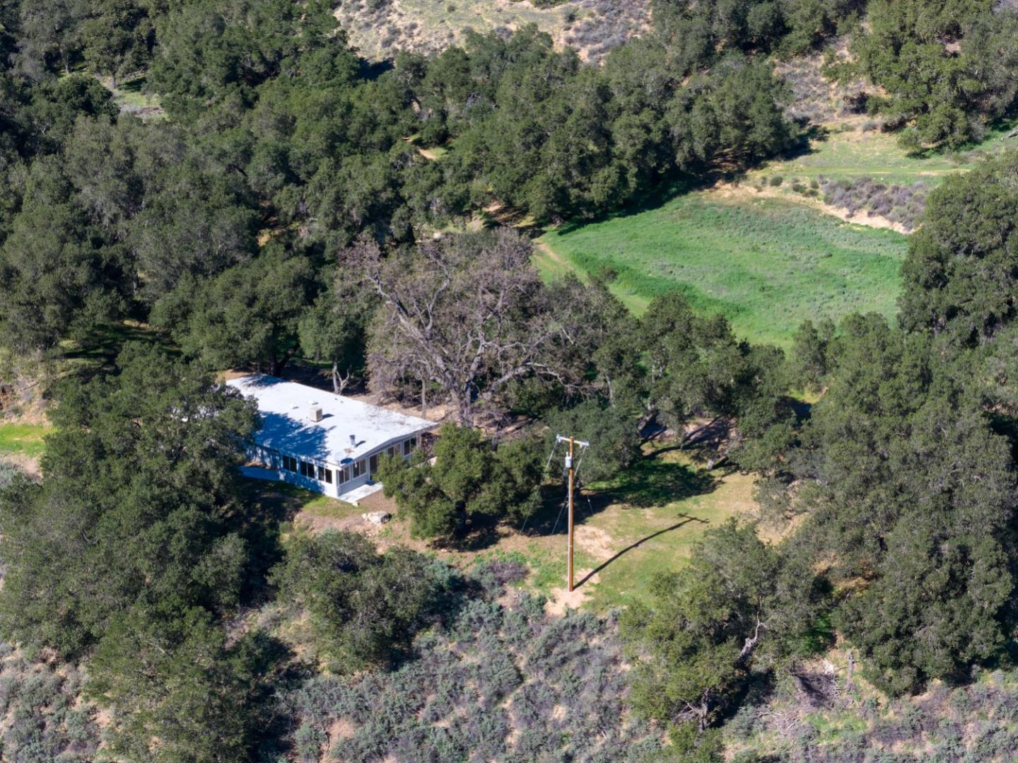 47292 Arroyo Seco Road Greenfield, CA 93927 - Photo 8 of 37 a view of a forest with a tree
