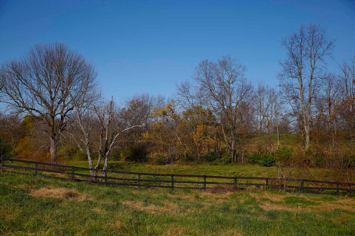 3263 North Cleveland Road Lexington, KY 40516 - Photo 20 of 93 Photo 20