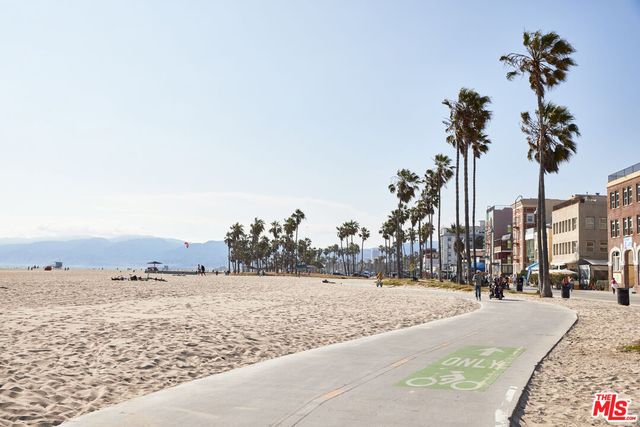 a view of ocean with a palm and trees