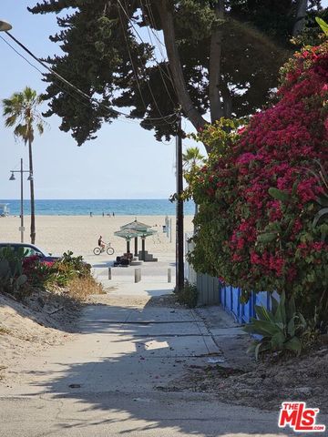 a view of a palm tree with an ocean view