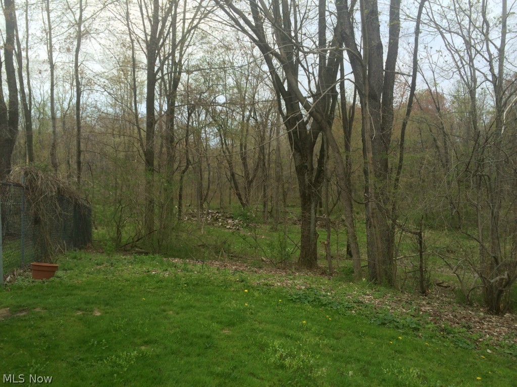 13322 Forest Road Burton, OH 44021 - Photo 4 of 20