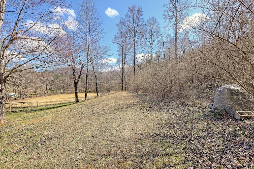 1616 Ford Road Warne, NC 28909 - Photo 36 of 56 Gallery Image 36