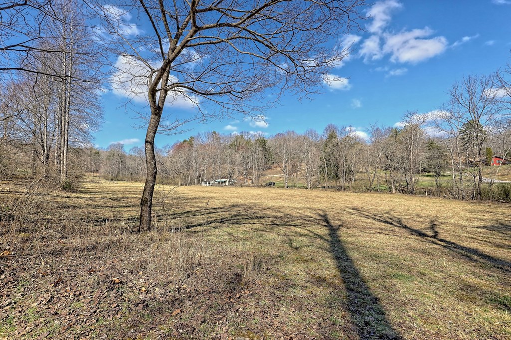 1616 Ford Road Warne, NC 28909 - Photo 38 of 56 Gallery Image 38