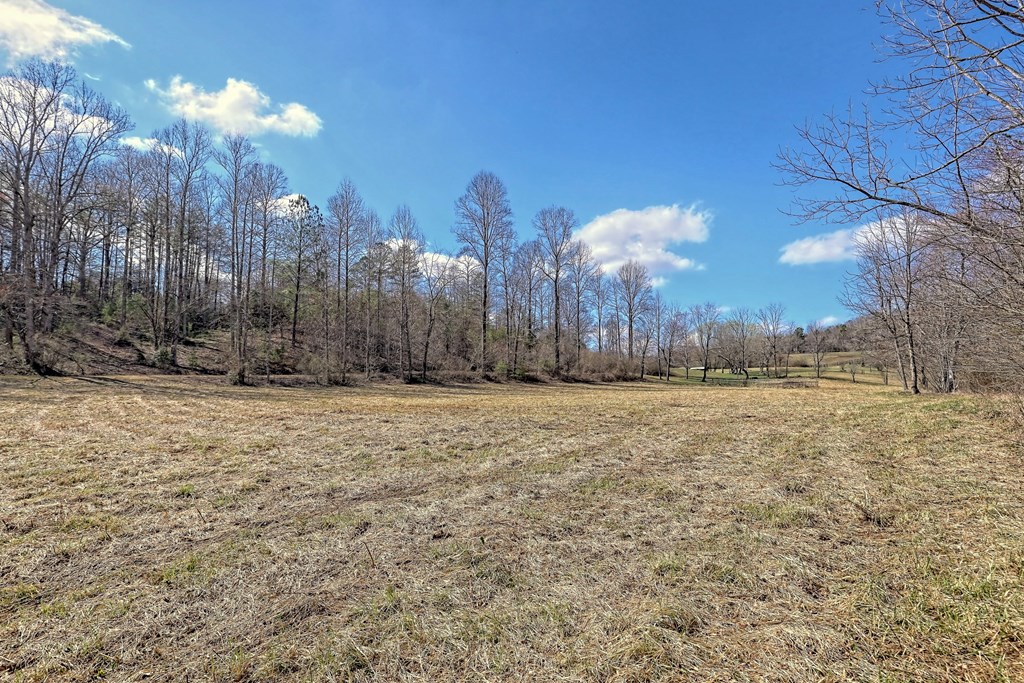 1616 Ford Road Warne, NC 28909 - Photo 40 of 56 Gallery Image 40