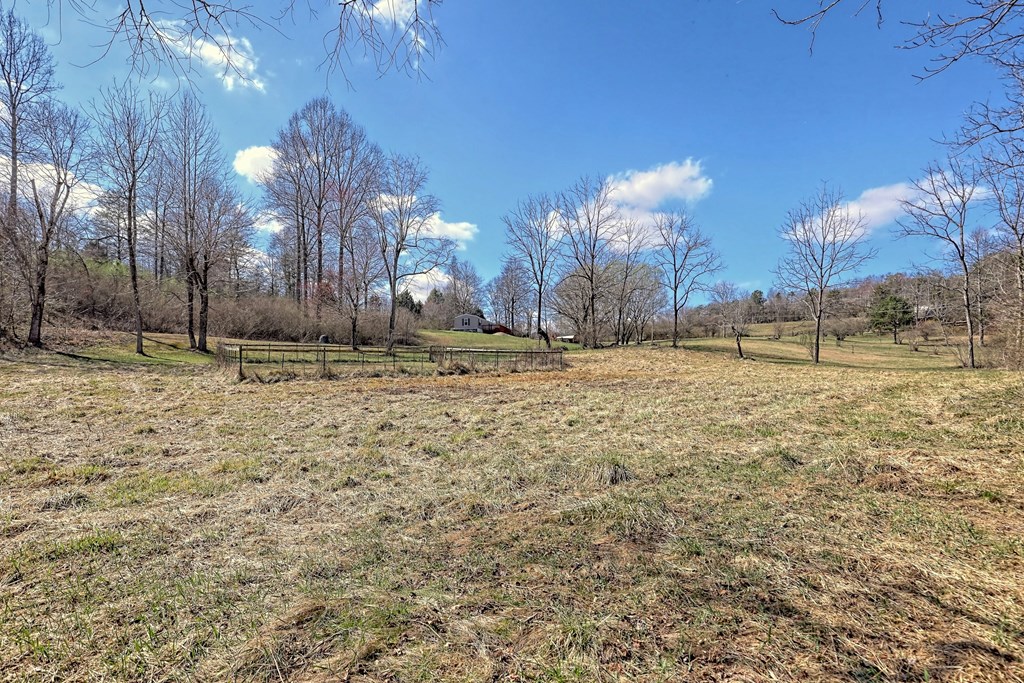 1616 Ford Road Warne, NC 28909 - Photo 43 of 56 Gallery Image 43