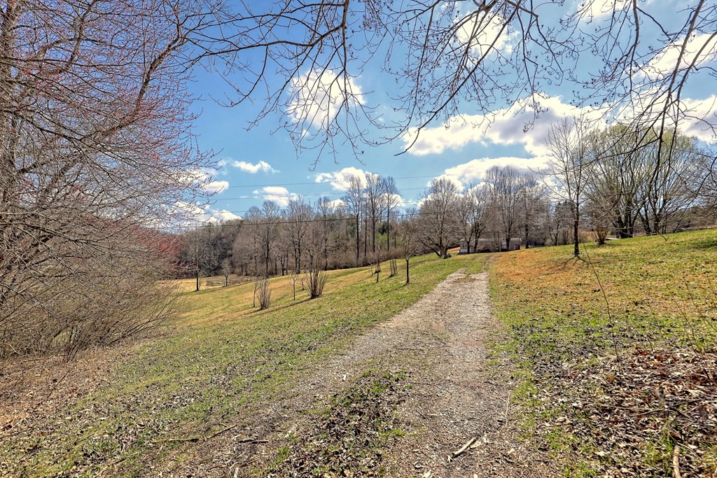 1616 Ford Road Warne, NC 28909 - Photo 46 of 56 Gallery Image 46