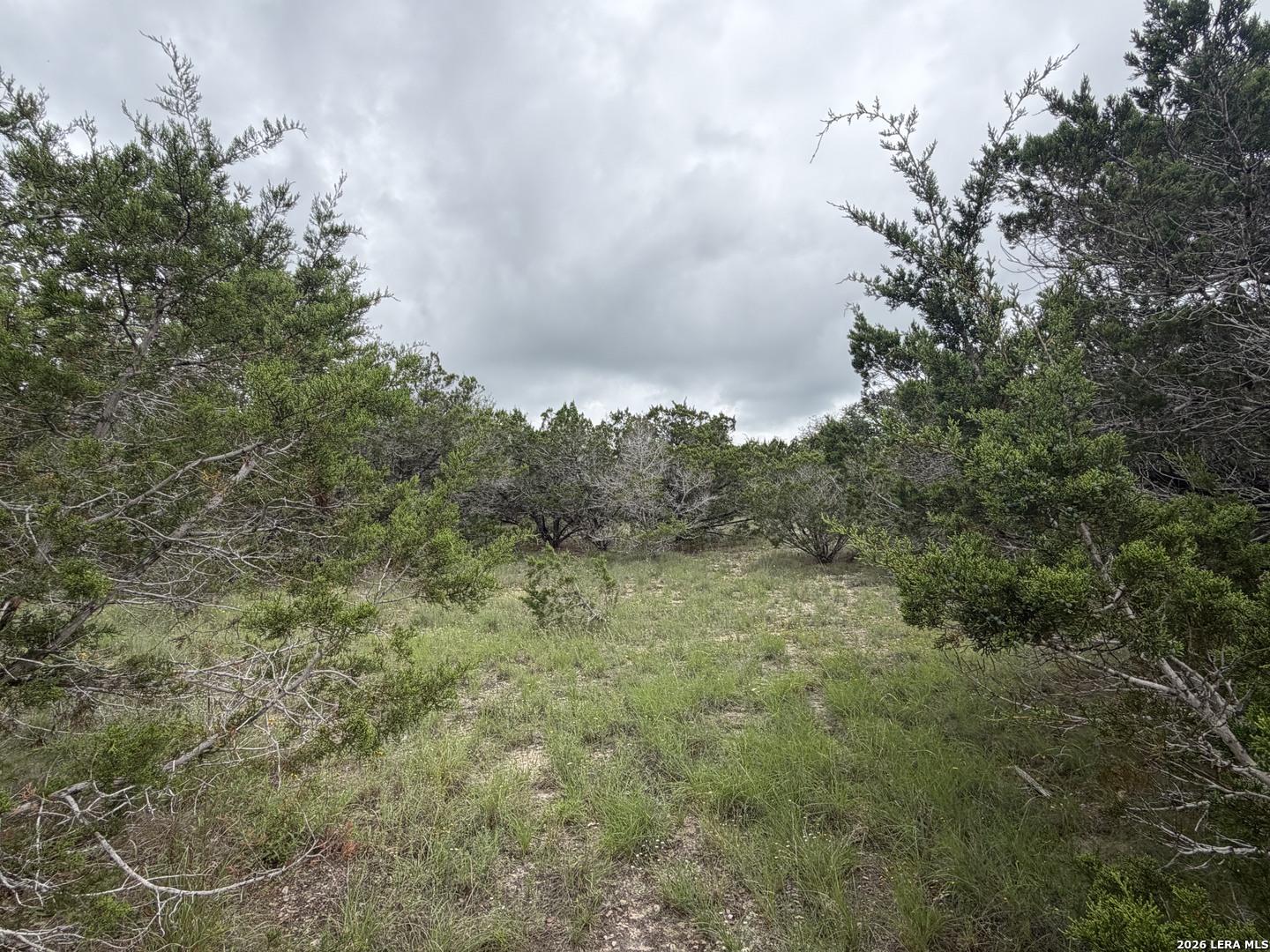 Lot 36 Cliff Drive Spring Branch, TX 78070 - Photo 2 of 5