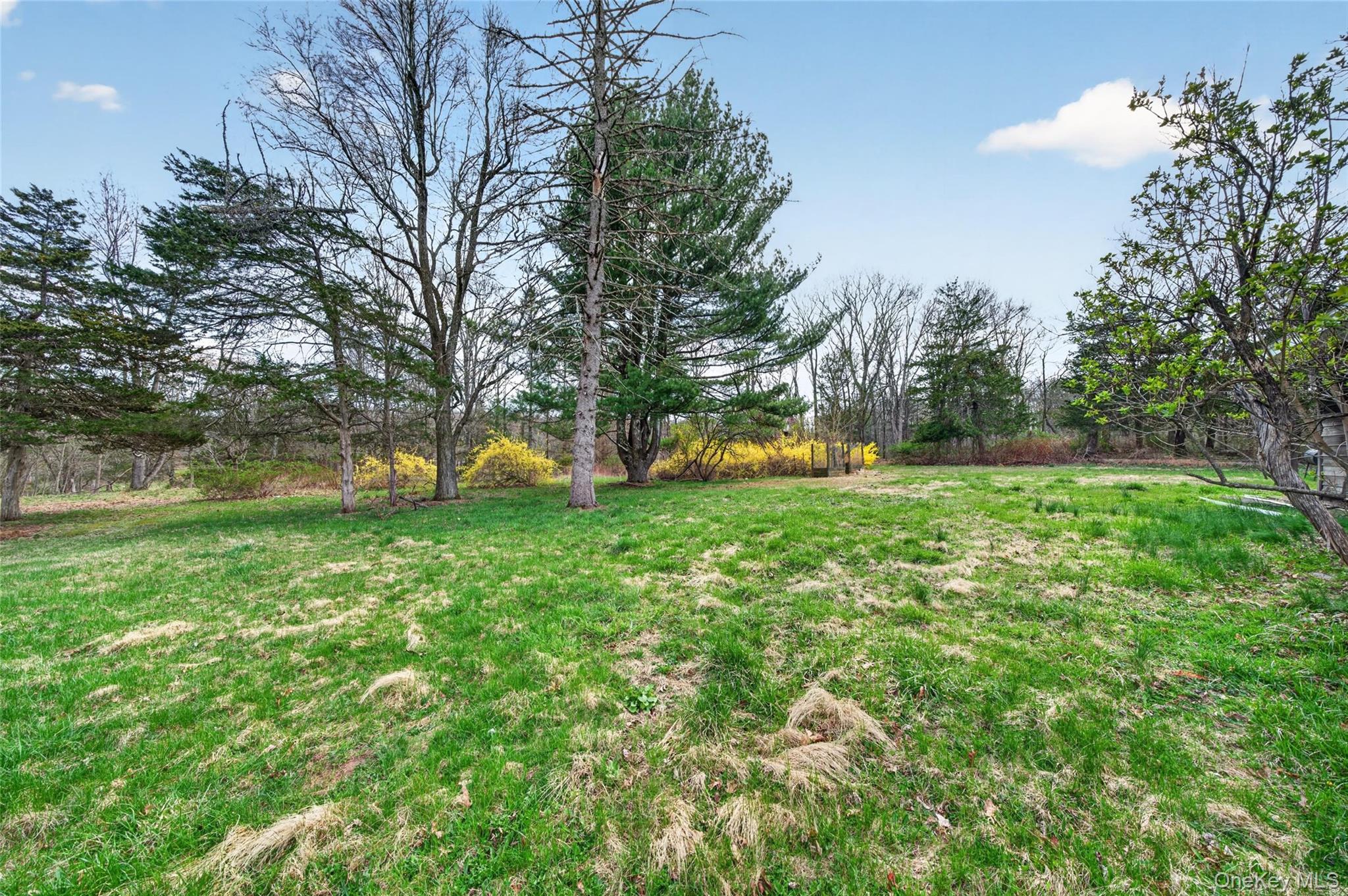 443 Rye Hill Road Monroe, NY 10950 - Photo 43 of 46