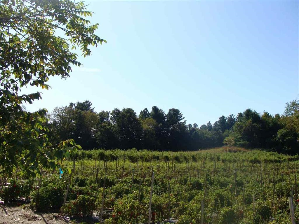 Lot 2 Worcester Road, Unit 2442 Hollis, NH 03049 - Photo 8 of 14
