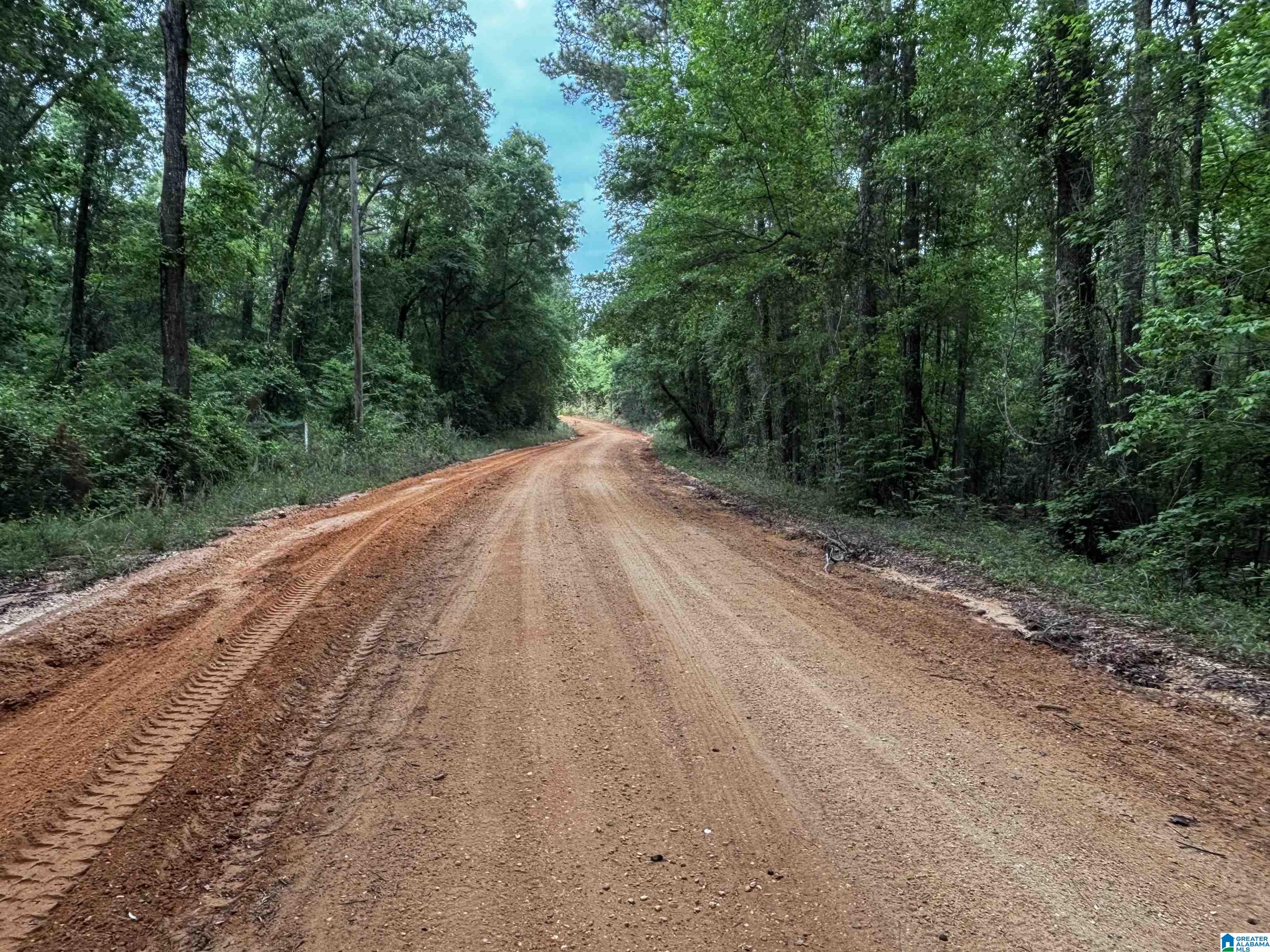 0 County Road 225, Unit 1 Minter, AL 36761 - Photo 5 of 9