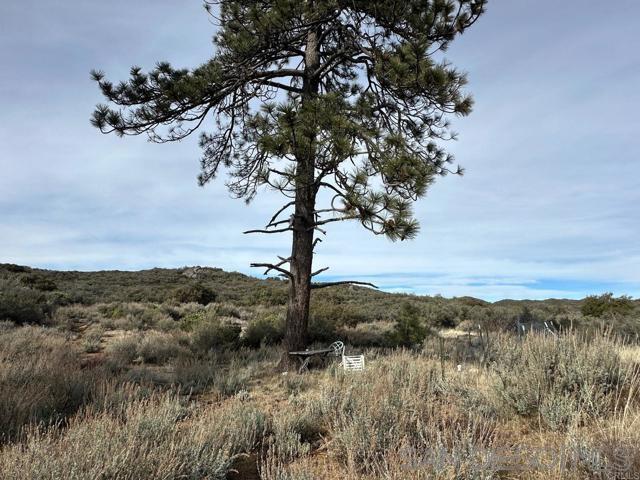 34810 Morris Ranch Road Pine Valley, CA 91962 - Photo 7 of 21