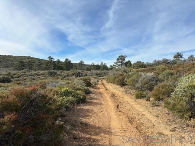 34810 Morris Ranch Road Pine Valley, CA 91962 - Photo 8 of 21