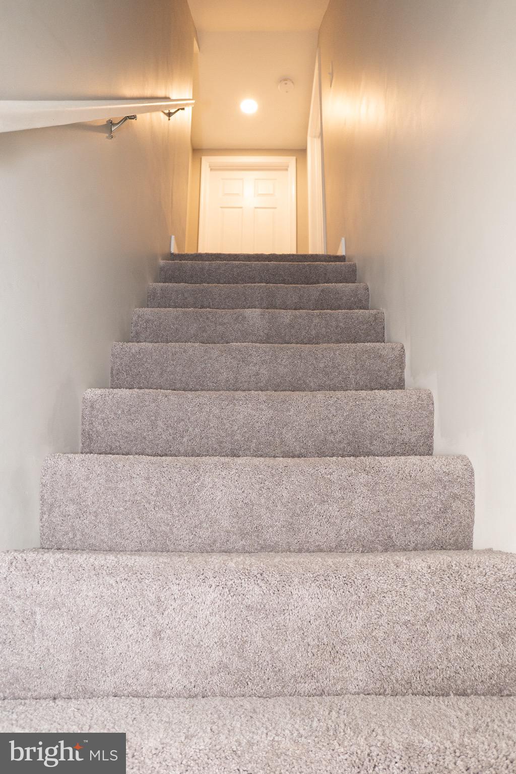 915 Martin Road Baltimore, MD 21221 - Photo 12 of 34 Plush Grey Carpet