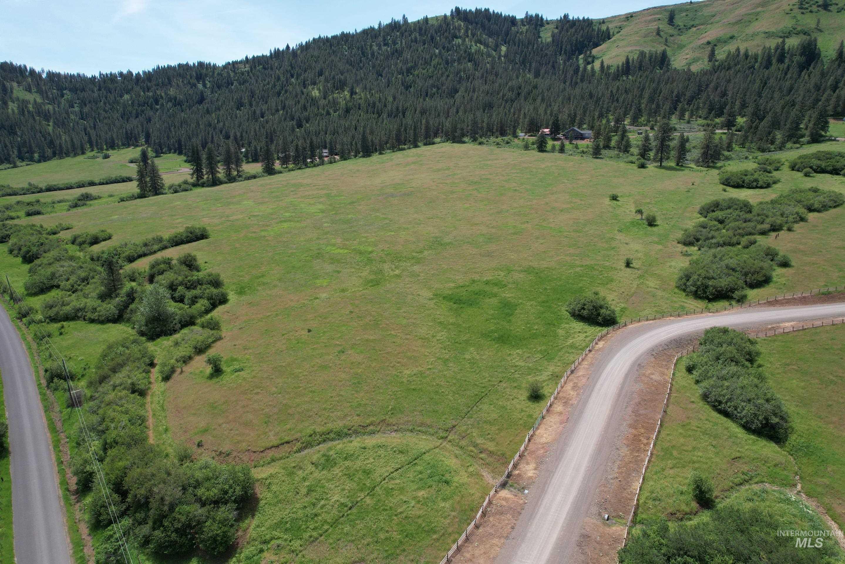 Tbd Old Hornet Road Council, ID 83612 - Photo 3 of 10