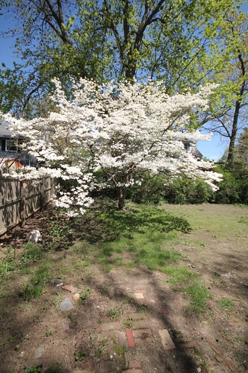 415 Tiffany Street Springfield, MA 01108 - Photo 10 of 10 Gallery Image 10