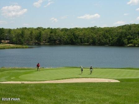 517 Maple Ridge Drive Hawley, PA 18428 - Photo 72 of 73 14 Golfing