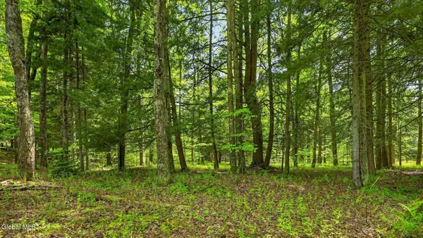 $55,000 | L1.6 L1.6 Crystal Brook Path, Jefferson, NY 12093