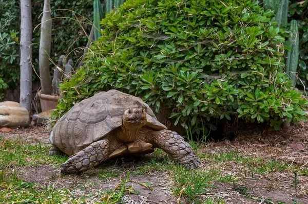 $4,900 | 800 Arbol Verde Street, Carpinteria, CA 93013