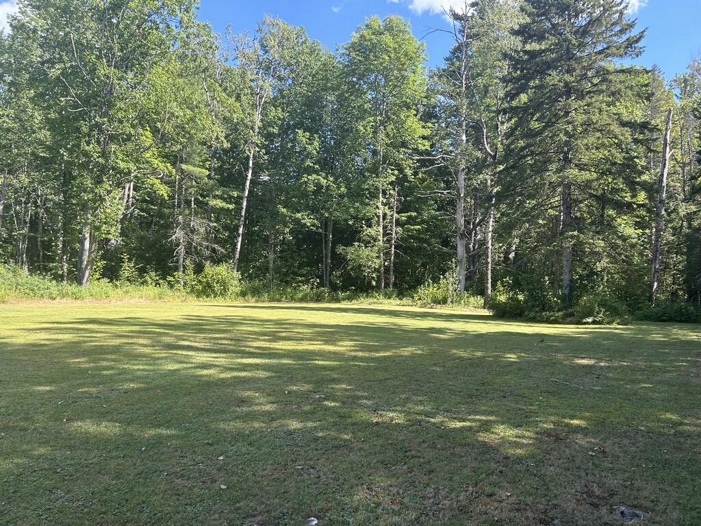 251 Hampden Road Carmel, ME 04419 - Photo 30 of 101 Backyard 7 (Copy)