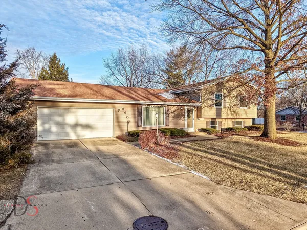 a view of a large trees