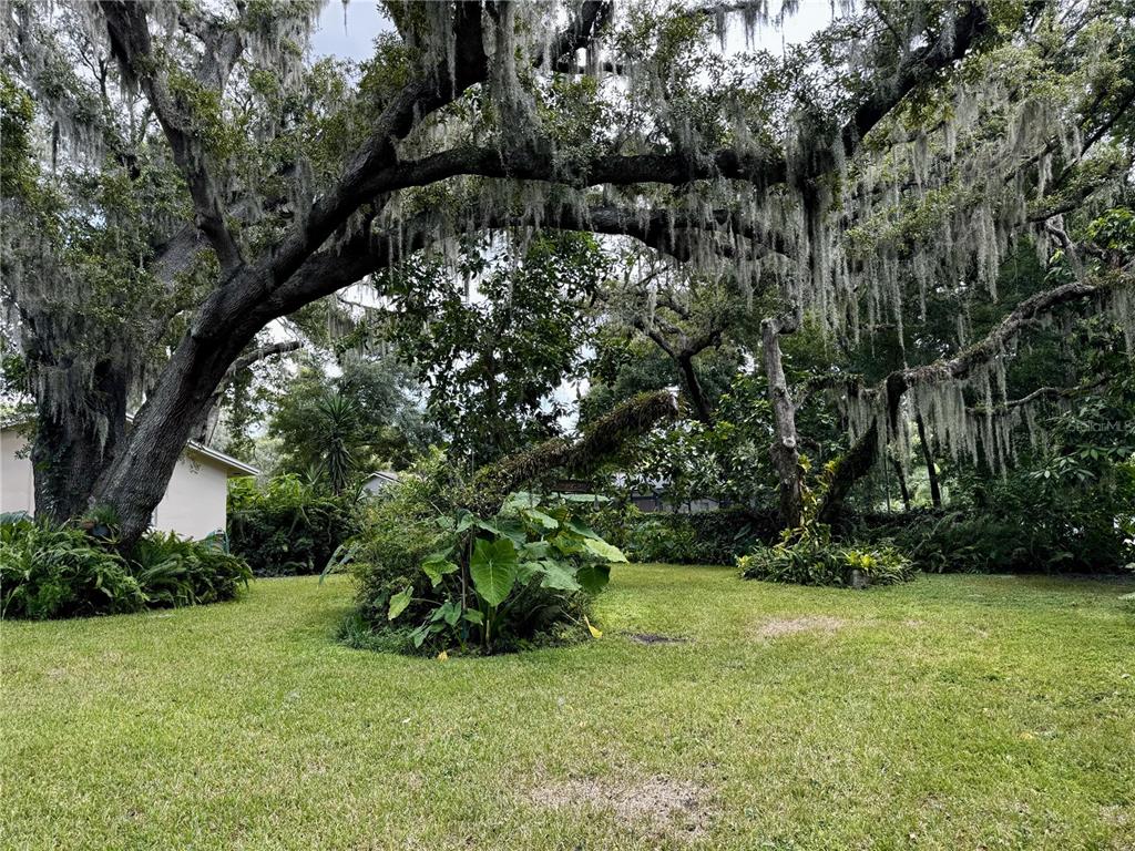 108 Bayberry Road Altamonte Springs, FL 32714 - Photo 38 of 43 Gallery Image 38