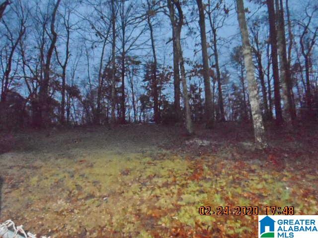 1402 Mollys Place Alabaster, AL 35007 - Photo 2 of 15