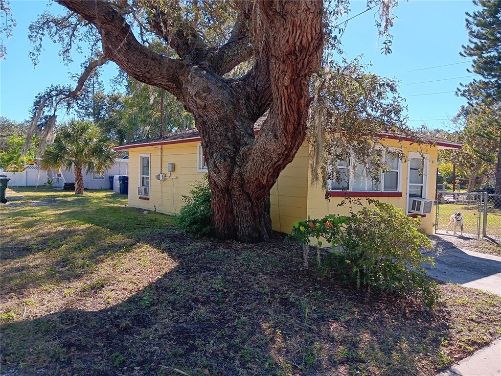 374 3rd Street Northwest Largo, FL 33770 - Photo 30 of 31 a view of a house with yard and tree