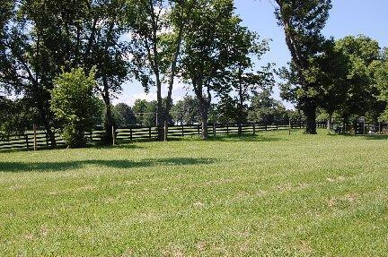 353 Stoney Point Road Paris, KY 40361 - Photo 16 of 16 Photo 16