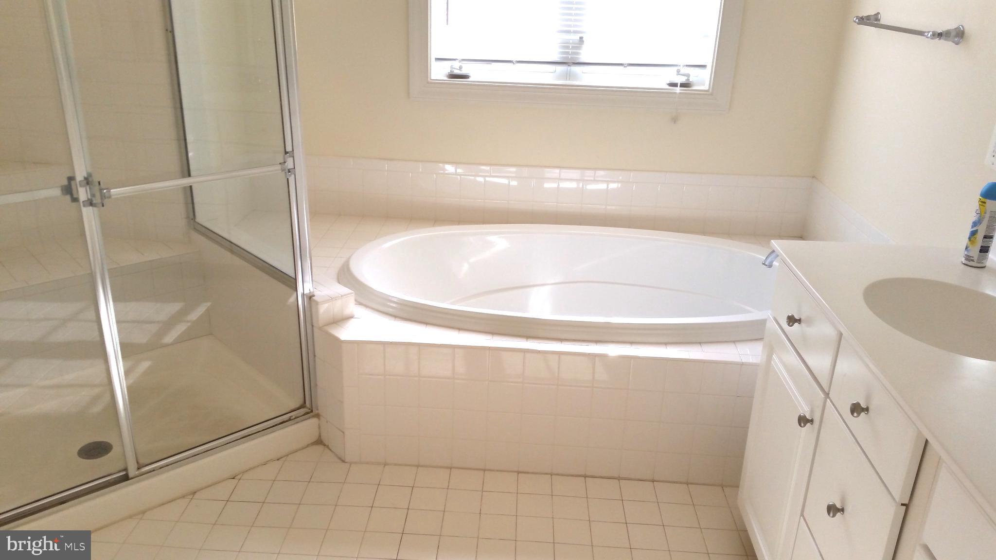 41785 Expectation Square Aldie, VA 20105 - Photo 11 of 21 a close view of a bathtub