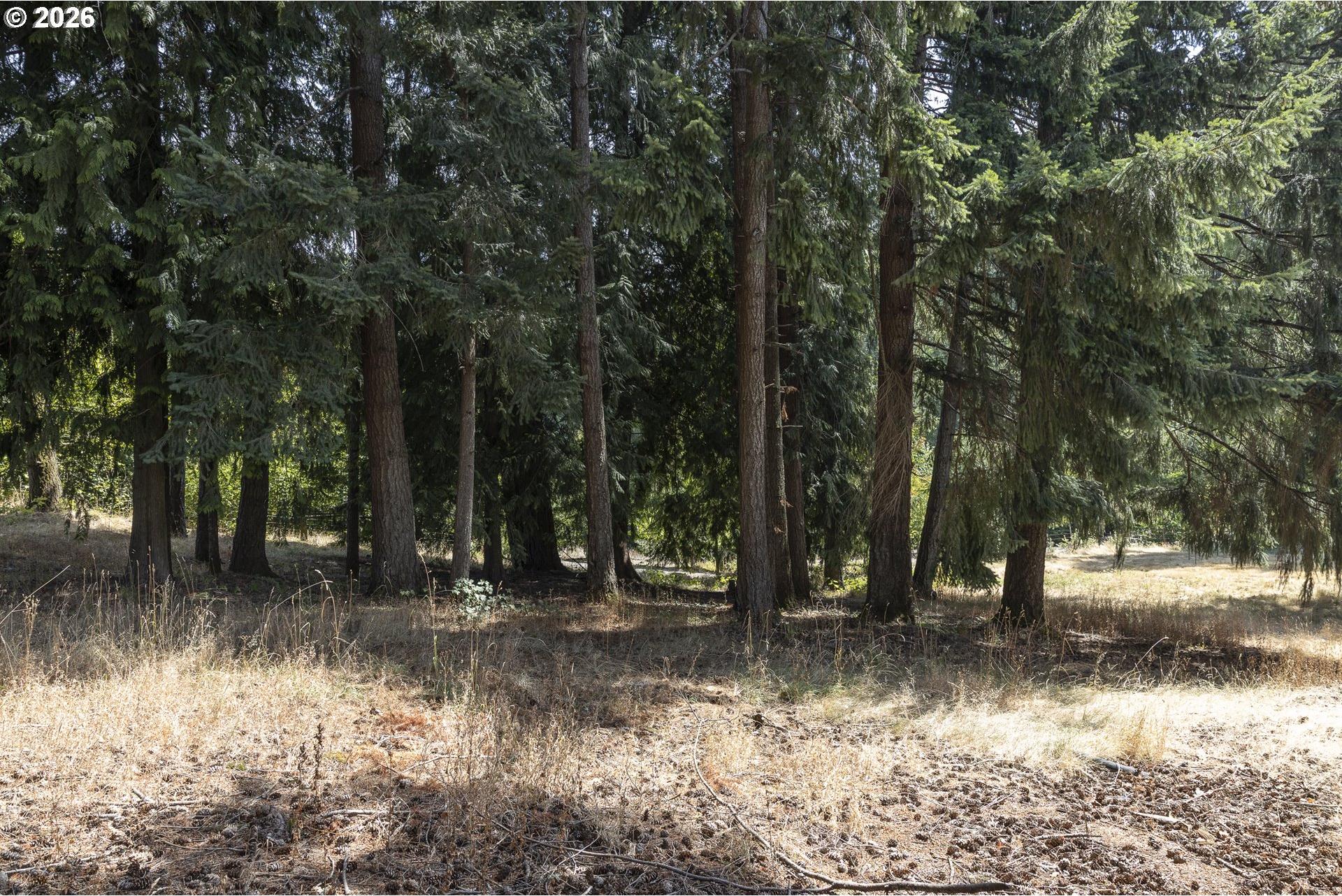 18795 South Lower Highland Road Beavercreek, OR 97004 - Photo 33 of 48 Gallery Image 33